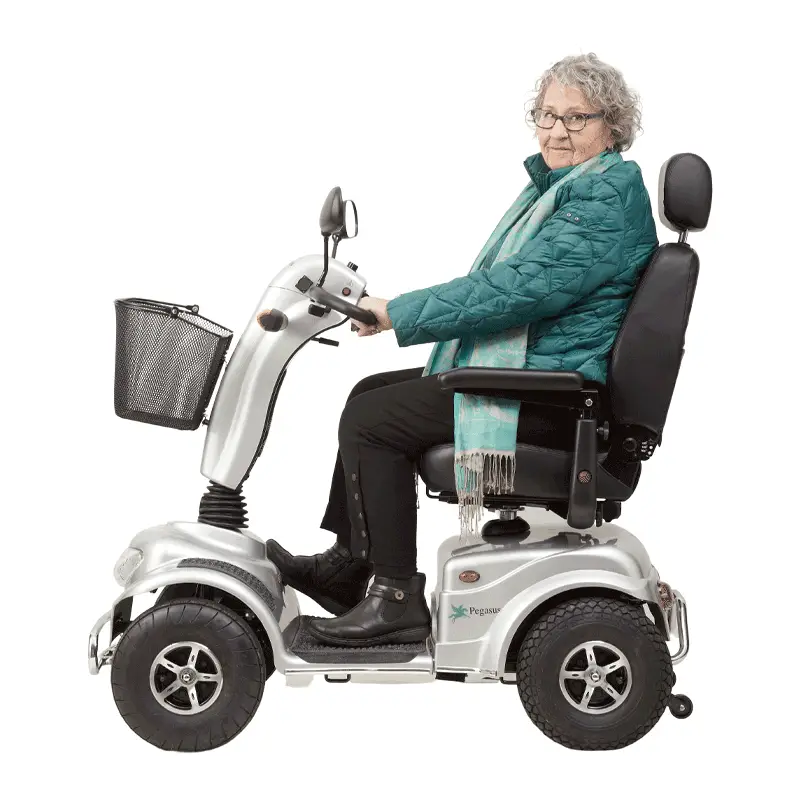 frisør fordrejer Bogholder Lej en el-scooter til billige priser│ El scooter udlejning - Pegasus El- scooter
